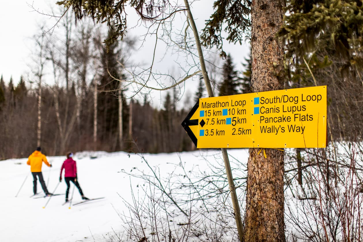 There's A Wonderland Of Snowy Trails In Quesnel SnowSeekers